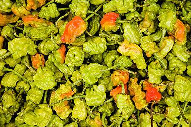 虚幻5科幻冒险《索利斯堡》夏季推出 新截图分享